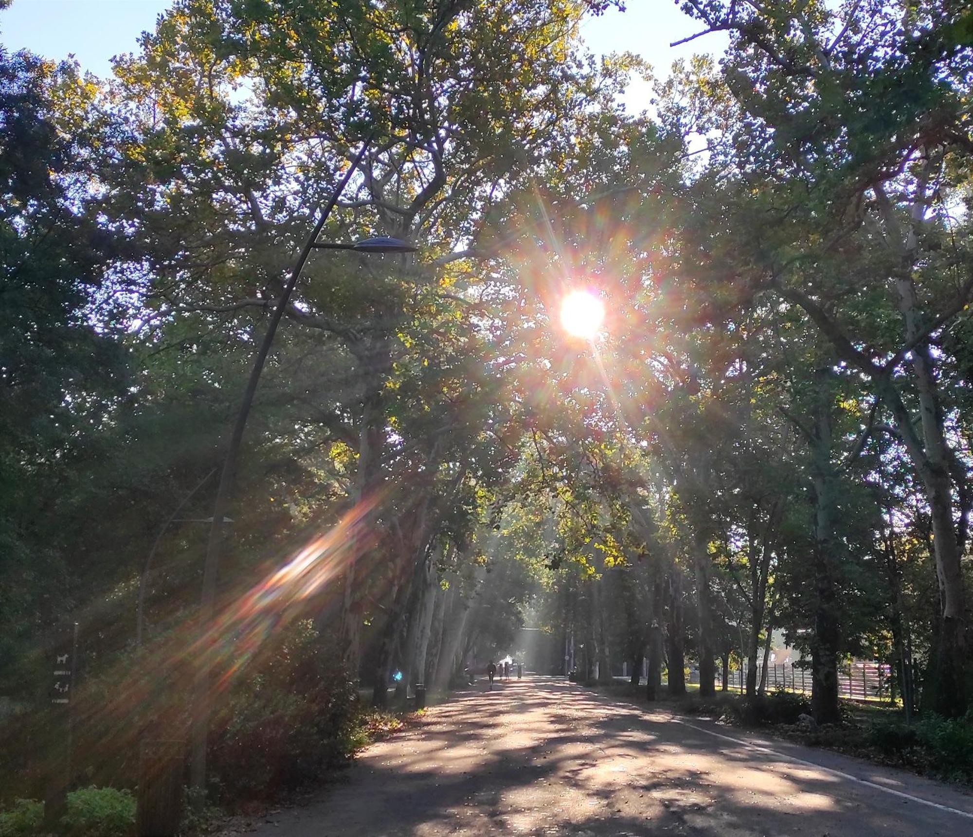 Park Hideaway Bestern Segedyn Zewnętrze zdjęcie